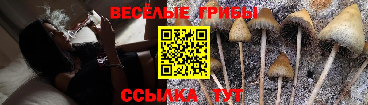 Фролово  Псилоцибиновые грибы мицелий  Вход с VPN 